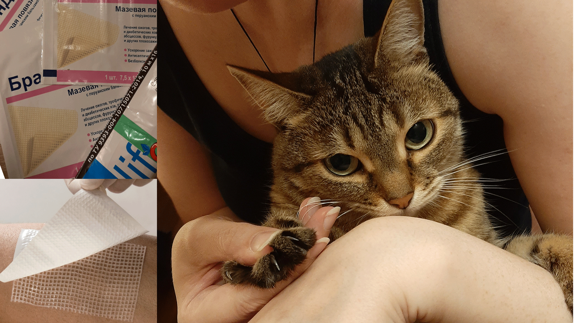 Повязка для заживления ран от кошачих зарапин, кошка на руках у человека с выпущенными когтями